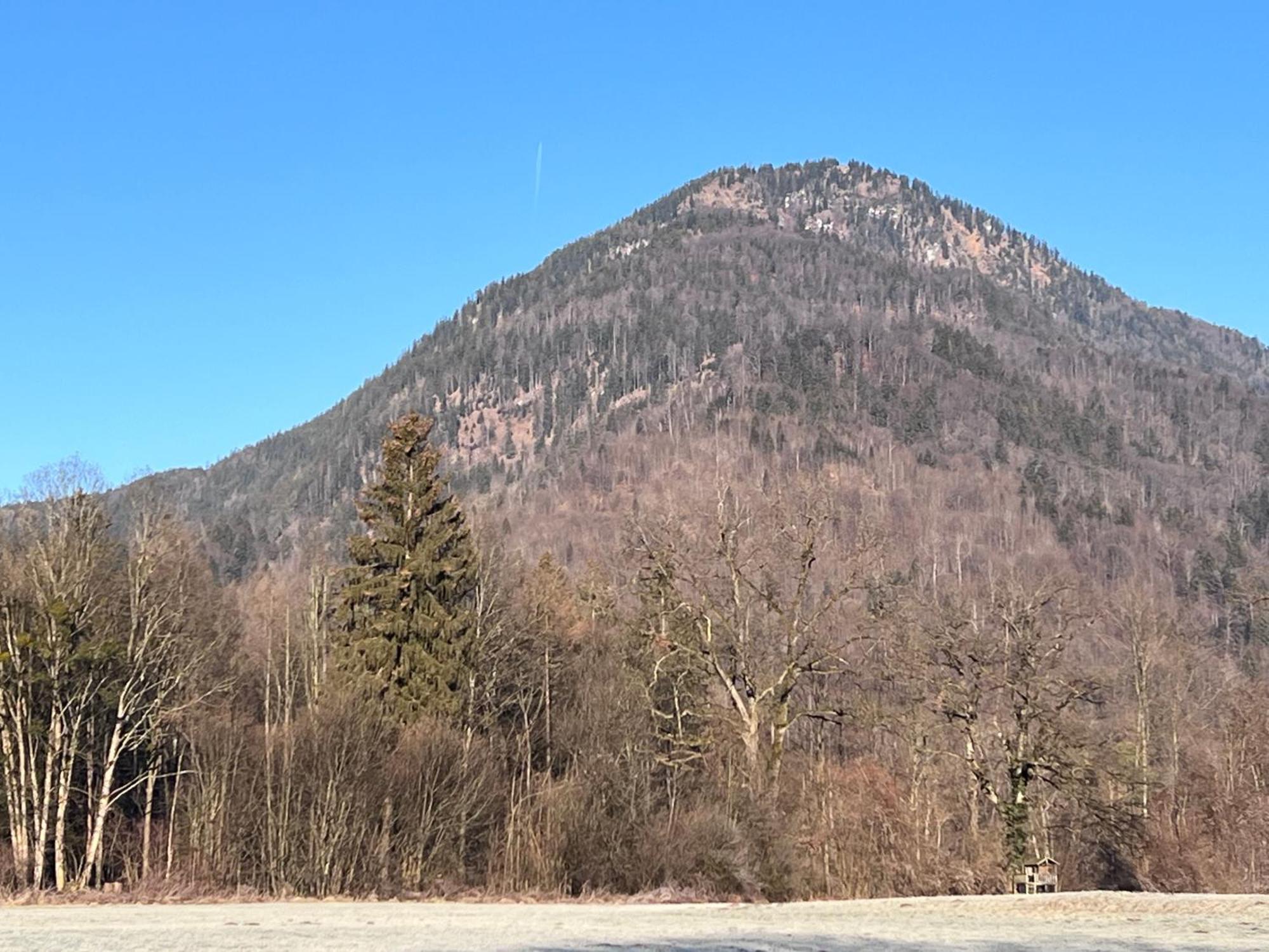 Ferienwohnung Bergwelten Oberaudorf Ngoại thất bức ảnh