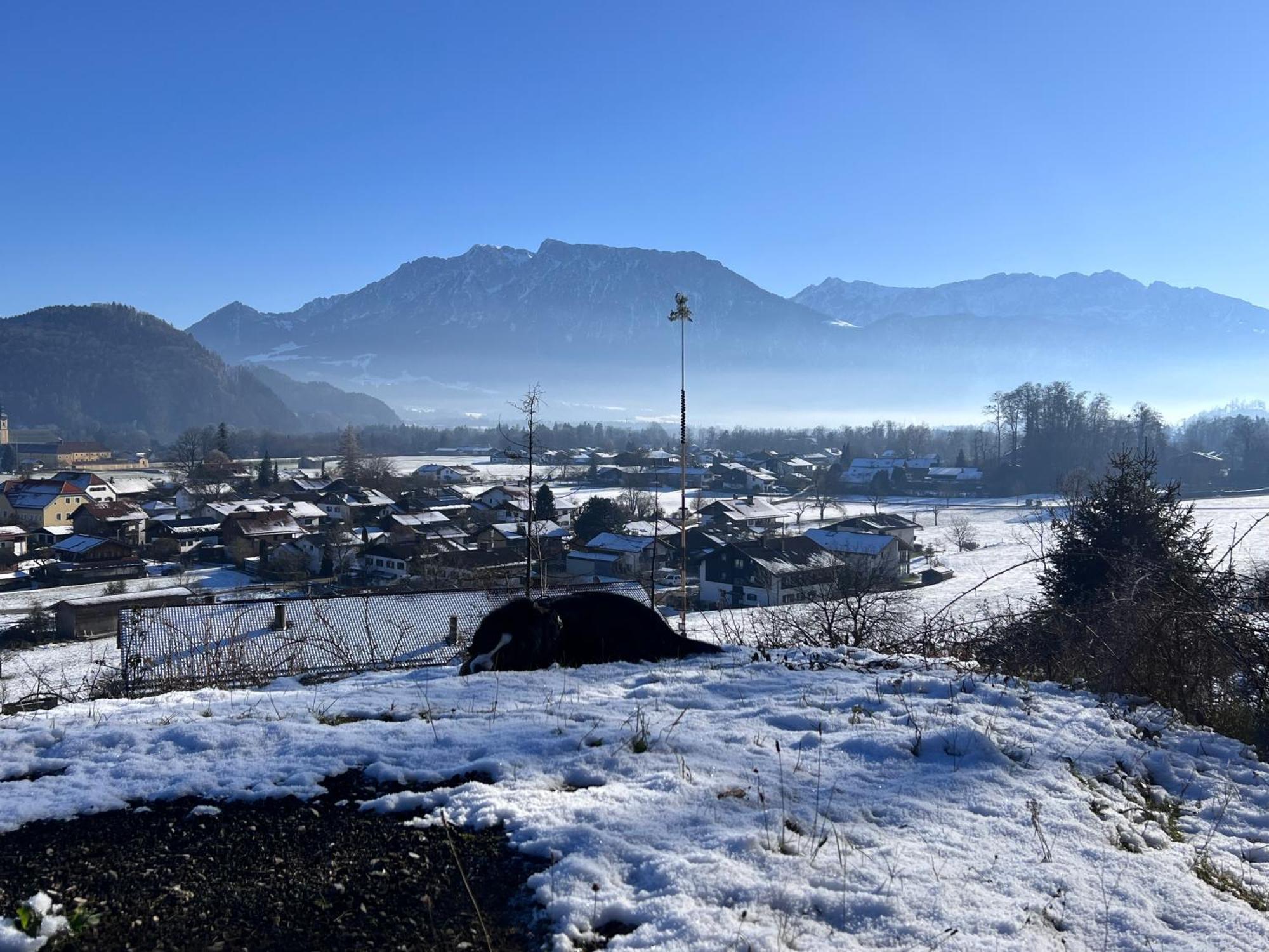 Ferienwohnung Bergwelten Oberaudorf Ngoại thất bức ảnh